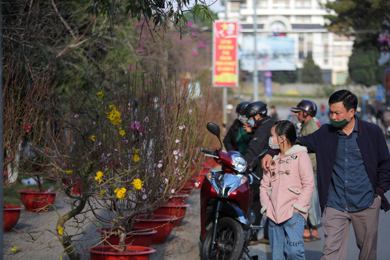 Đường Trần Hưng Đạo, TP Đà Lạt - một trong những cung đường hoa xuân ngày cuối năm (29 tết), người dân đổ ra đường đông đúc hơn để mua sắm những gì còn thiếu trước giao thừa Tết Nguyên đán