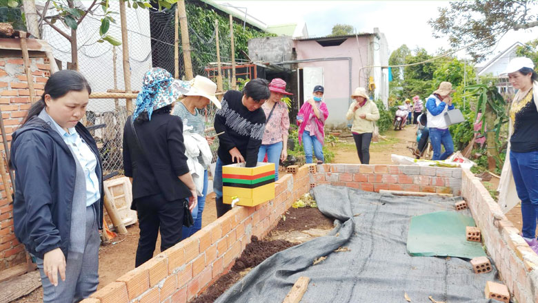 Mô hình nuôi trùn quế được Hội LHPN các cấp đánh giá cao và được nhiều tổ chức Hội đến tham quan, học hỏi