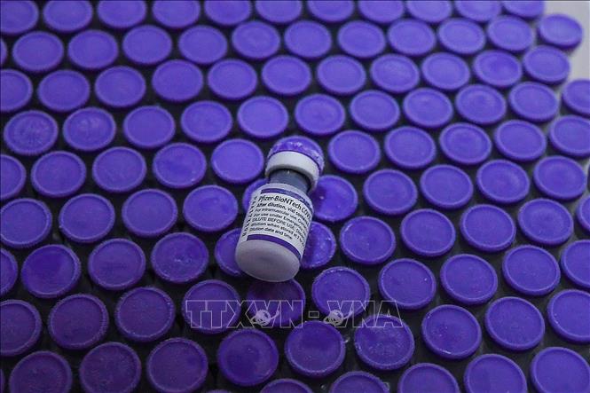 Israel: Vaccine ngừa COVID-19 của Pfizer-BioNTech không ảnh hưởng đến thai phụ