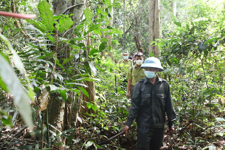 Cát Tiên: Tăng cường công tác quản lý, bảo vệ rừng