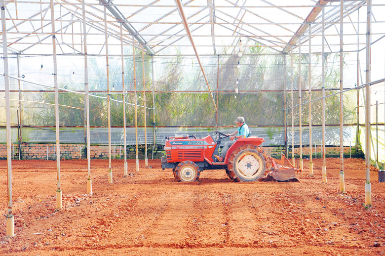 Đà Lạt: Đảm bảo môi trường để phát triển bền vững