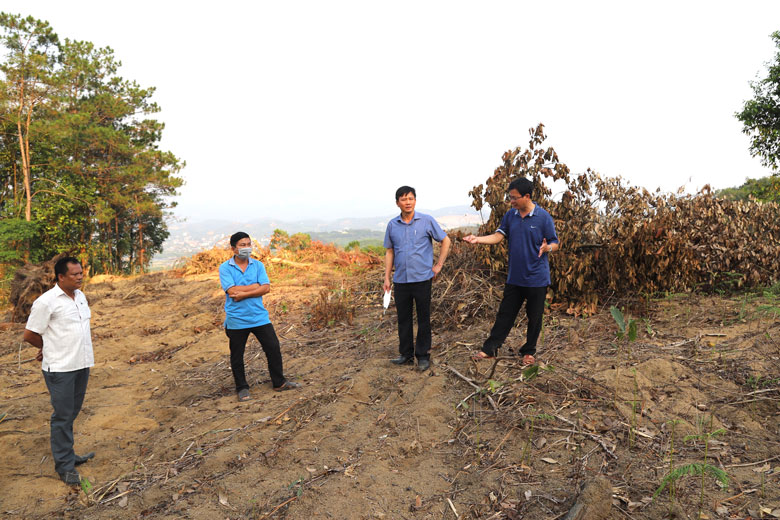 Ông Đoàn Kim Đình - Chủ tịch UBND TP Bảo Lộc kiểm tra thực tế hiện trường làm thay đổi hiện trạng đất lâm nghiệp tại Tiểu khu 474 (xã Đại Lào)