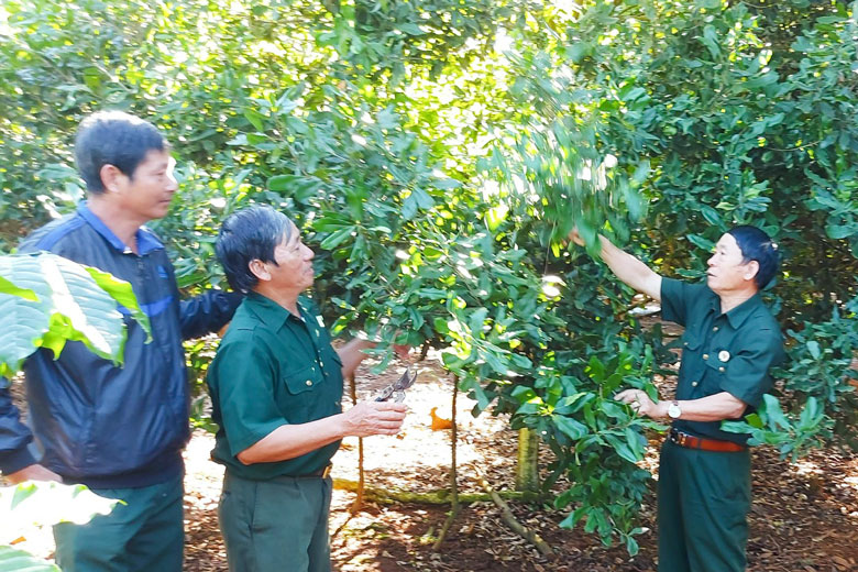 Phát huy bản chất ''Bộ đội Cụ Hồ'', tích cực xây dựng quê hương