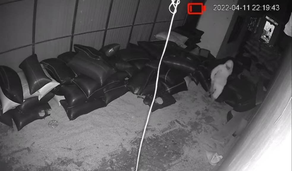 Hình ảnh camera ghi lại cảnh kẻ gian đột nhập nhà ông Hoàng trộm 770 kg hạt tiêu khô