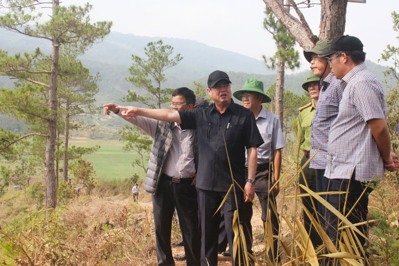 Thường trực Tỉnh ủy cùng các đồng chí trong đoàn kiểm tra công tác quản lý, bảo vệ rừng và các công trình trọng điểm trên địa bàn