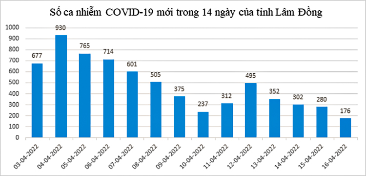 Ghi nhận 176 ca Covid-19 mới