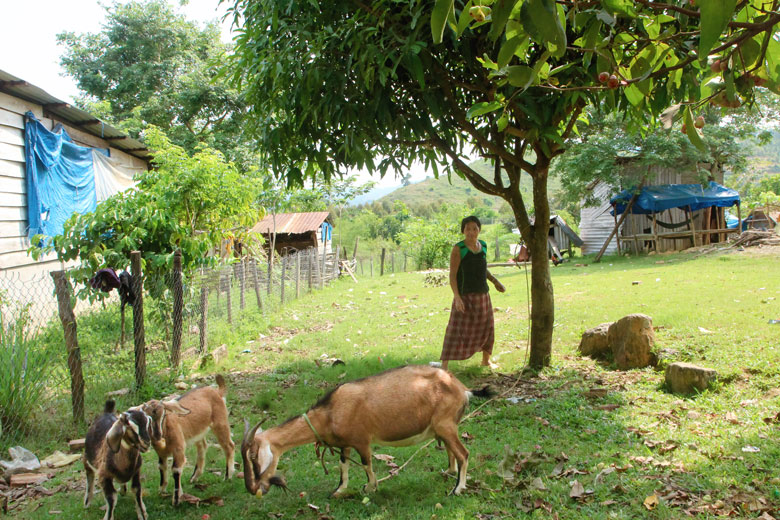 Khởi sắc Đạ Nhar