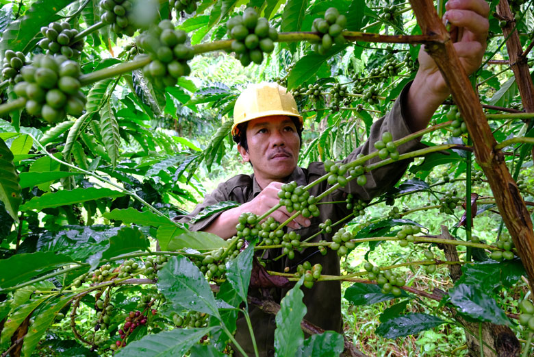 Nâng cao đời sống Nhân dân là mục tiêu trung tâm trong xây dựng nông thôn mới ở Đam Rông