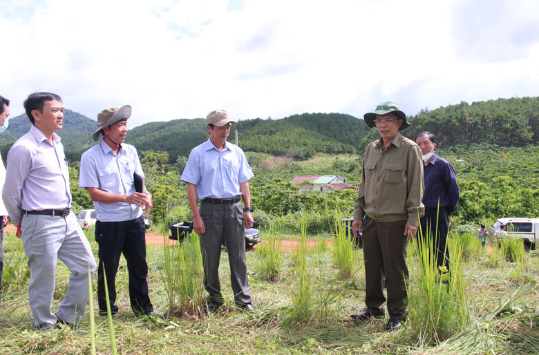 Phó Chủ tịch UBND tỉnh Lâm Đồng Đặng Trí Dũng kiểm tra công tác quản lý, bảo vệ rừng tại Bảo Lâm