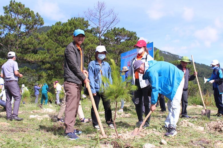 Báo Lâm Đồng tham gia trồng cây tại lễ phát động