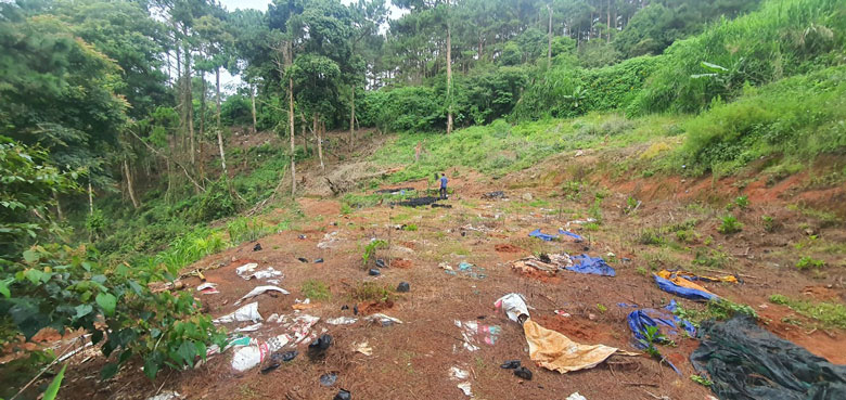 Đà Lạt: Phạt 22 triệu đồng đối với người có hành vi lấn chiếm đất rừng đặc dụng