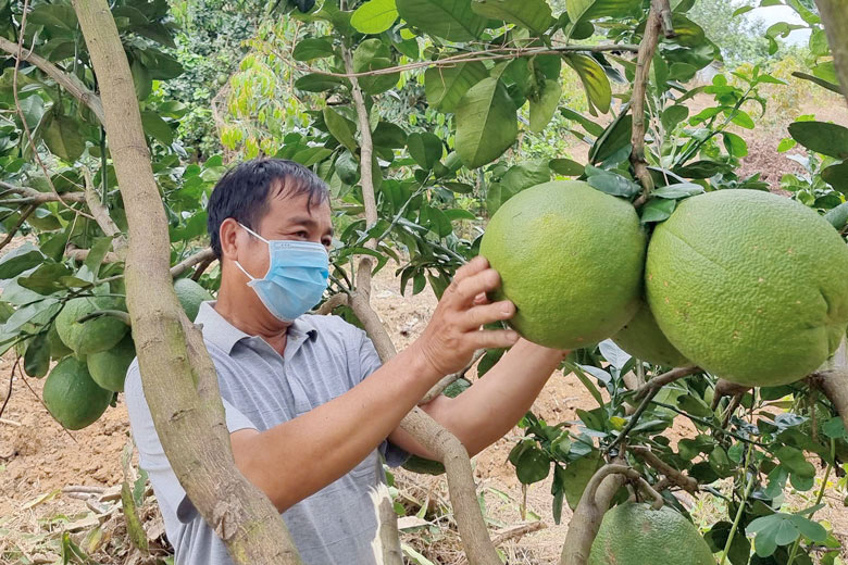 Đạ Tẻh: Lan tỏa phong trào thi đua sản xuất, kinh doanh giỏi