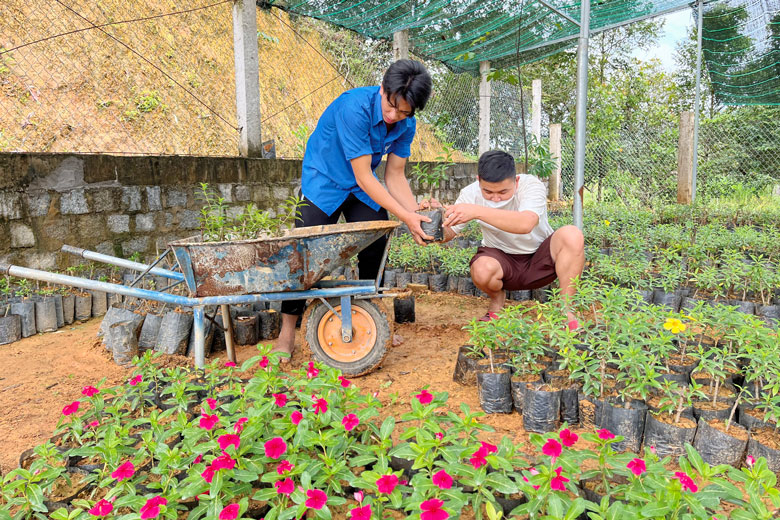 Các hoạt động tình nguyện là môi trường để ĐVTN huyện Đạ Tẻh cống hiến và trưởng thành