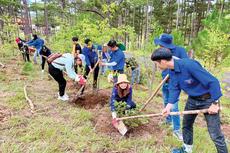 Tuổi trẻ Khối Các cơ quan tỉnh tham gia trồng, chăm sóc cây xanh bảo vệ môi trường