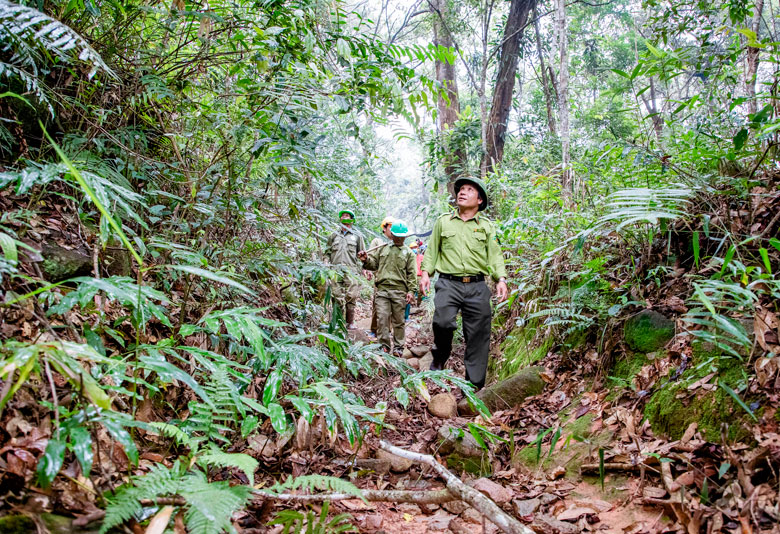  Lực lượng kiểm lâm và chủ rừng tuần tra bảo vệ rừng khu vực giáp ranh.