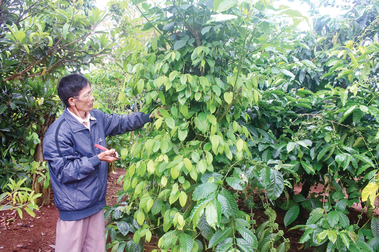 Người cựu chiến binh tiên phong trên mọi mặt trận