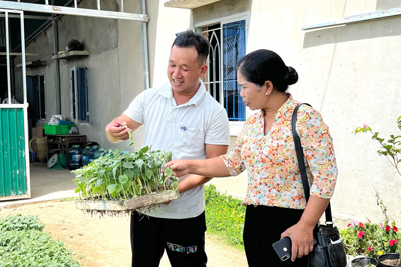 Trưởng thôn và Phó Bí thư Chi bộ thôn M’Răng, xã Lạc Lâm đang trao đổi các giống cây mới để nhân rộng trong bà con thôn