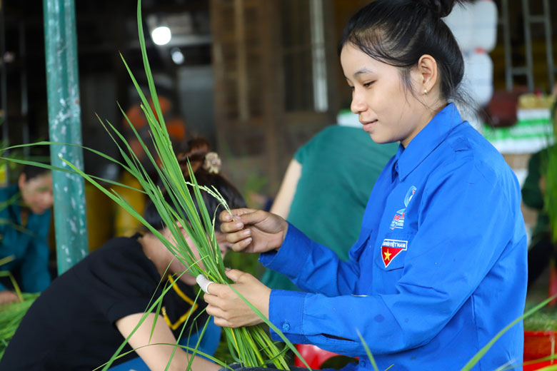 Sau khi thu hoạch, nhân công tiến hành công đoạn bóc tách đòng nếp quýt