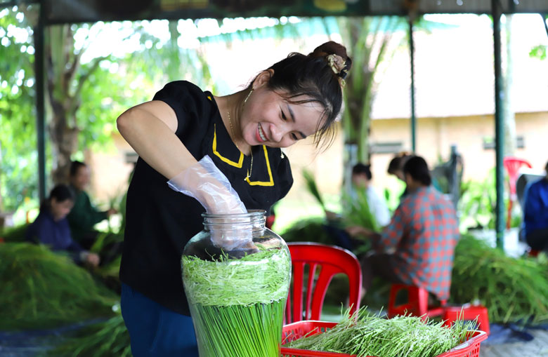 Đòng đòng được cho vào bình bày trí đẹp mắt