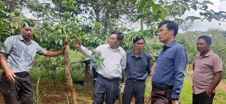 Chủ tịch Ủy ban MTTQ Việt Nam tỉnh Lâm Đồng làm việc với huyện Di Linh