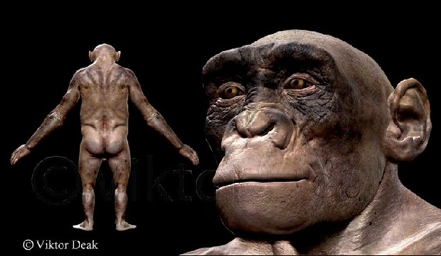 Loài Sahelanthropus tchadensis đã có khả năng đứng thẳng và đi bằng hai chân từ cách đây khoảng 7 triệu năm