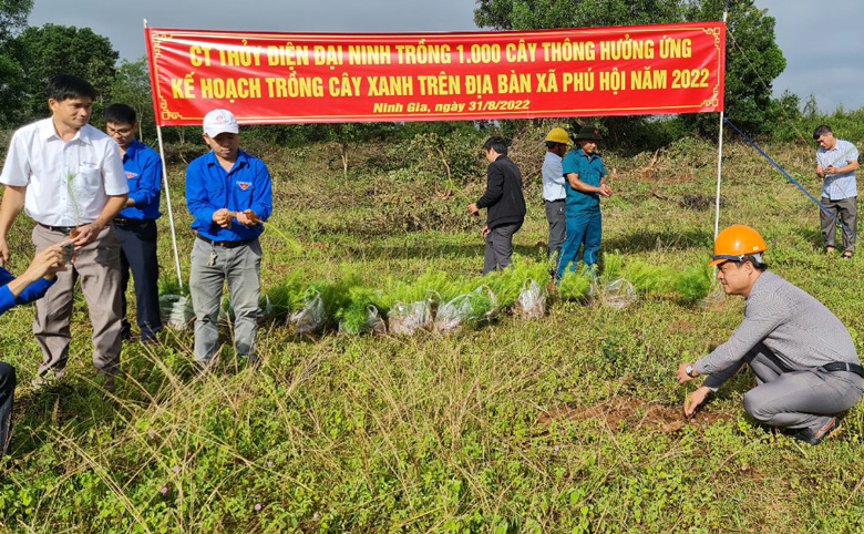 Ra quân trồng 1.000 cây thông 3 lá trên địa bàn xã Phú Hội, huyện Đức Trọng