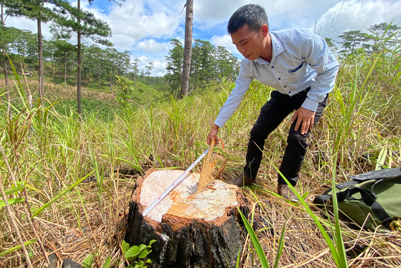 Đam Rông: Còn nhiều thách thức trong quản lý, bảo vệ rừng