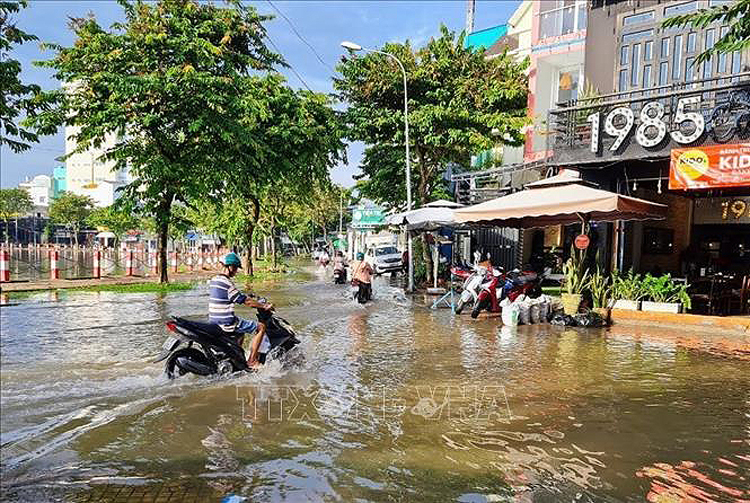 Thời tiết ngày 14/9: Đà Nẵng đến Bình Thuận, Tây Nguyên và Nam Bộ có mưa rào và dông