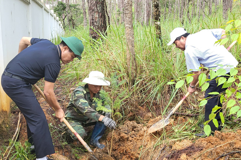 Đà Lạt: Trồng thêm 2.000 cây phân tán tại Tiểu khu 267A
