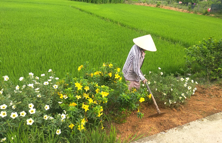 Phụ nữ Đạ Tẻh "sống xanh" với những tuyến đường hoa kiểu mẫu