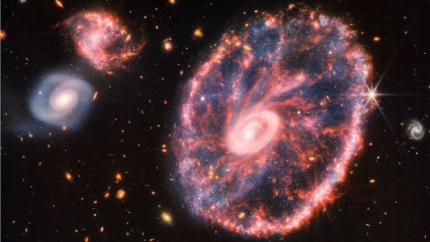 Hình ảnh thiên hà Cartwheel do kính thiên văn Webb chụp được