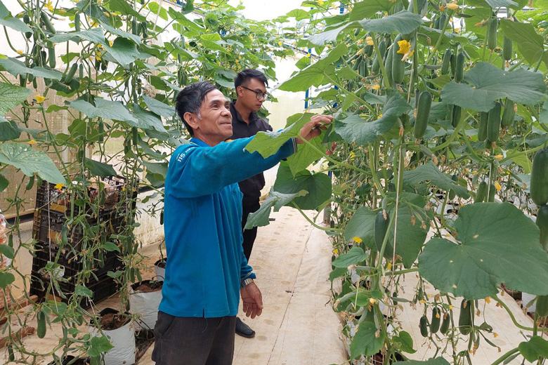 Dấu ấn người tiên phong