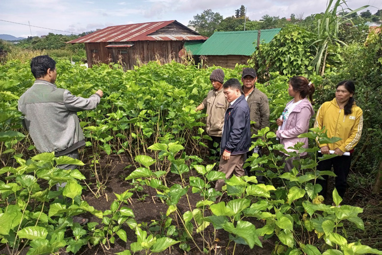 Vận động đồng bào DTTS chuyển đổi sản xuất phù hợp