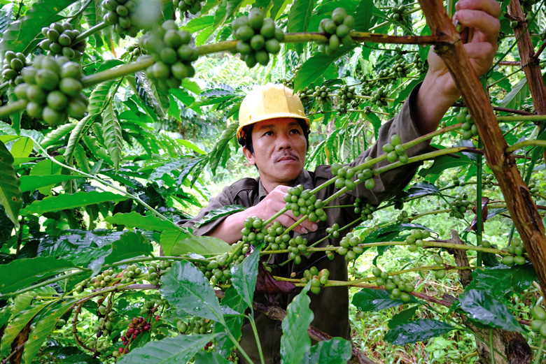 Đam Rông: Phấn đấu sớm về đích nông thôn mới