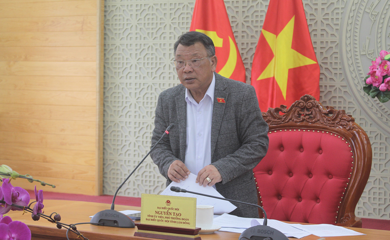 Ông Nguyễn Tạo – Phó Trưởng Đoàn ĐBQH, Trưởng Đoàn giám sát kết luận, chỉ đạo tại buổi giám sát